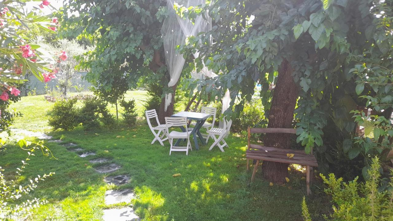 B&B Il Giardino Di Eolo Pietramelara Екстериор снимка